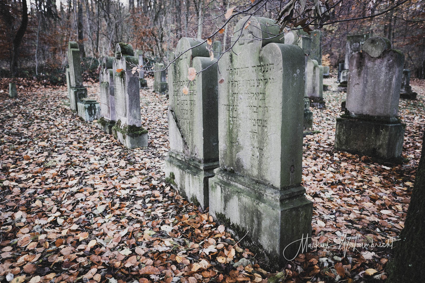 Dransfeld, Jüdischer Friedhof